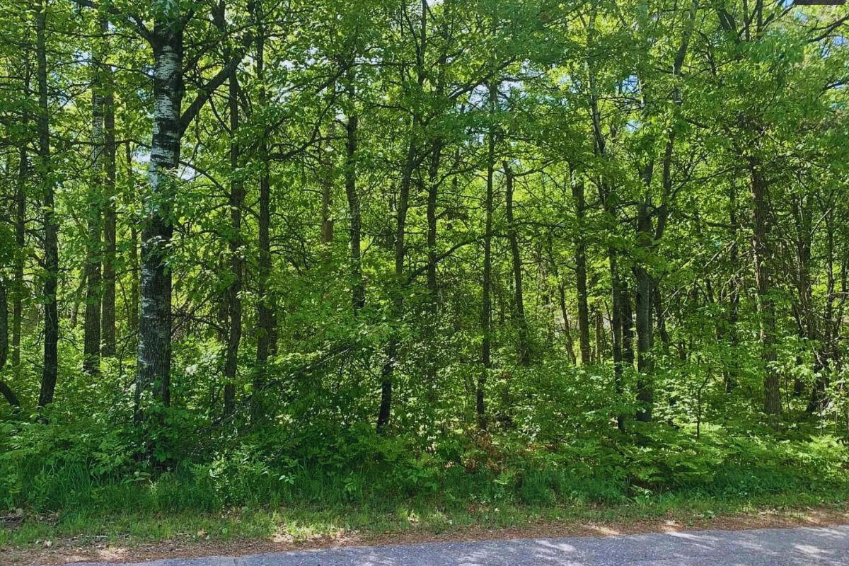 Highway Flat - Alpine Cir Breezy Point, MN 56472, USA