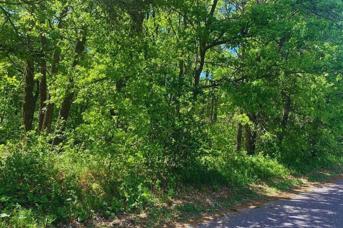 Highway Flat - Alpine Cir Breezy Point, MN 56472, USA