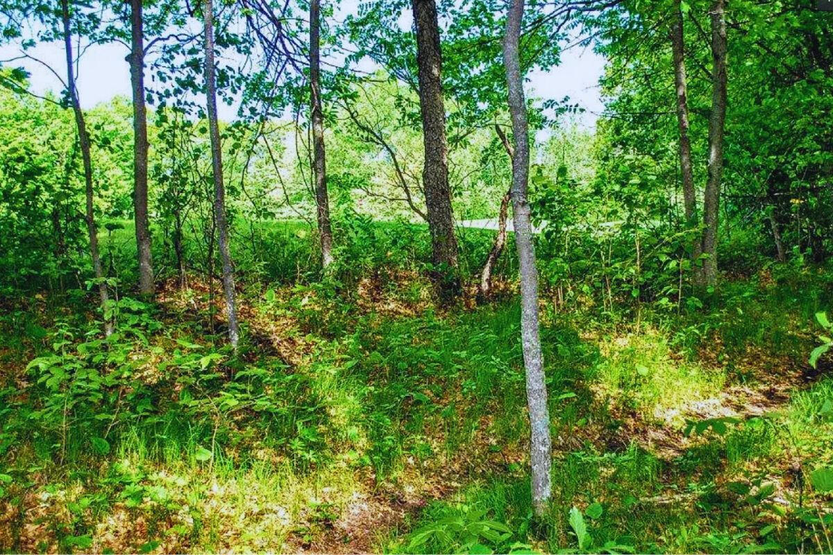 Highway Flat - Alpine Cir Breezy Point, MN 56472, USA