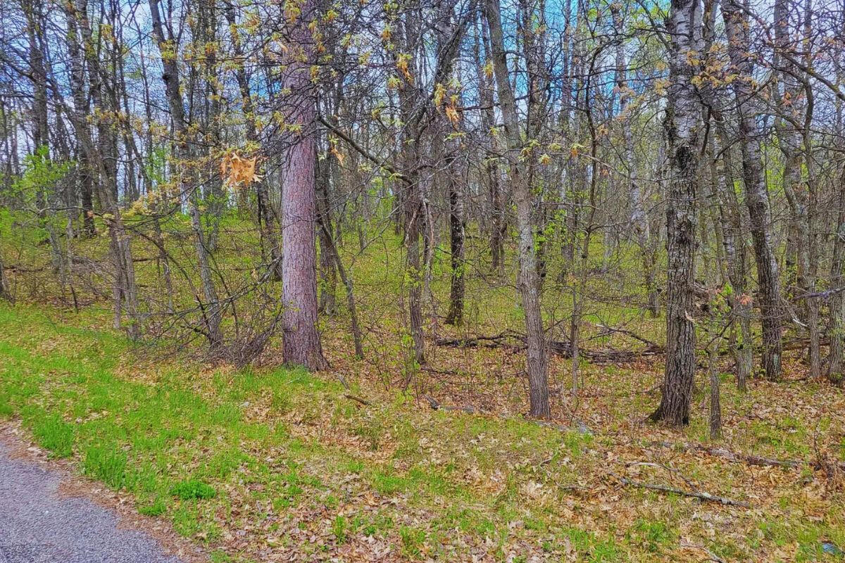 Highway Flat - Alpine Cir Breezy Point, MN 56472, USA