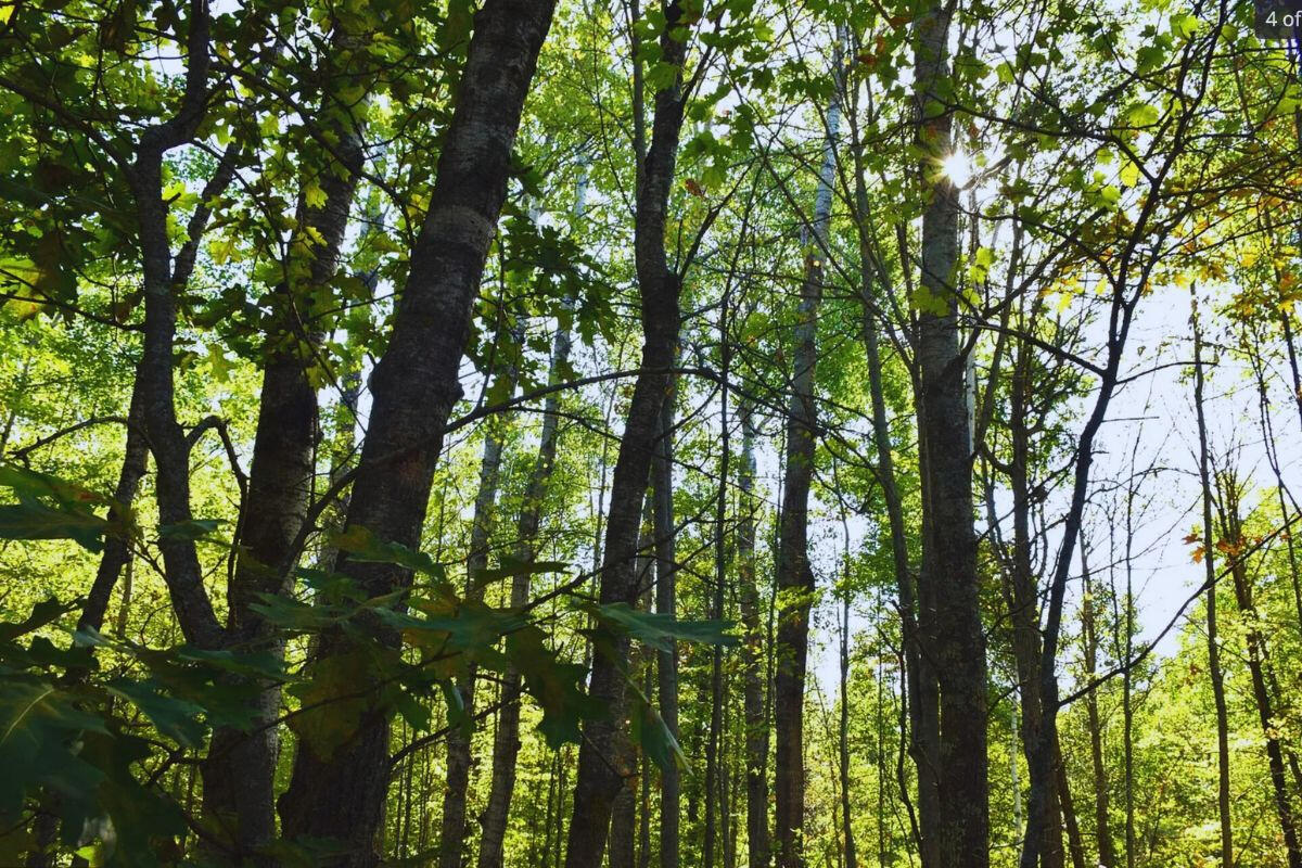 Highway Flat - Alpine Cir Breezy Point, MN 56472, USA