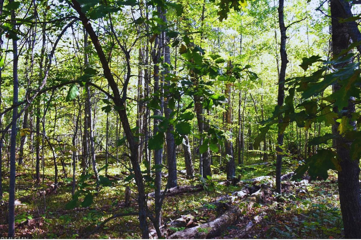 Highway Flat - Alpine Cir Breezy Point, MN 56472, USA